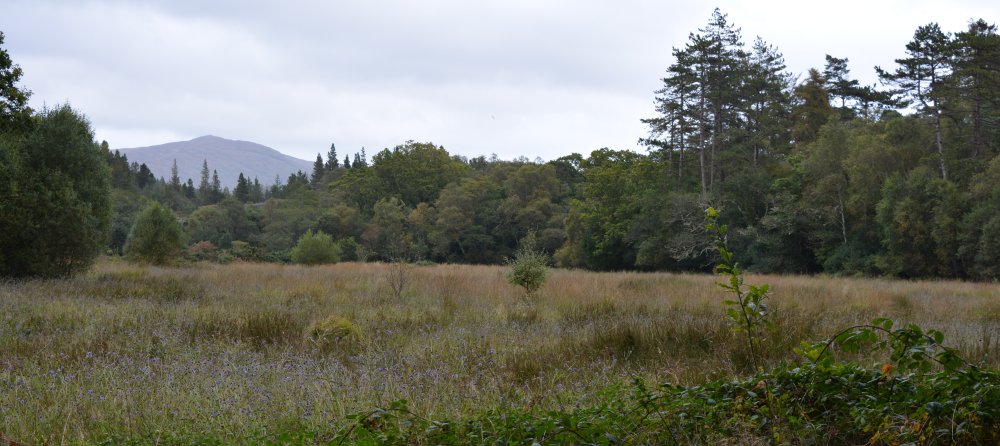Glengarriff, West Cork, Ireland