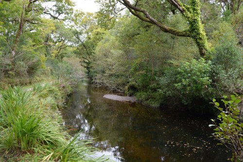 Glengarriff, West Cork, Ireland