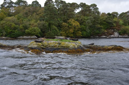 Garinish Island, Garnish Island Co. Cork. Ireland