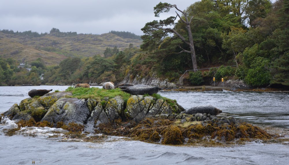 Garinish Island, Garnish Island Co. Cork. Ireland