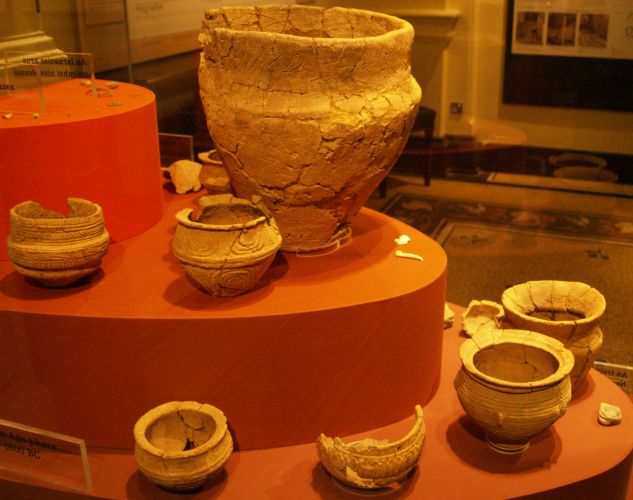Archaeology of the National Museum of Ireland, Dublin, Ireland