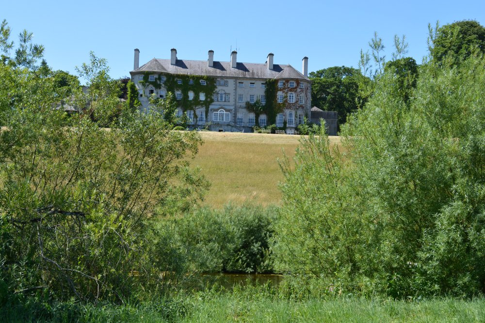 Walk in Ballylinch Stud Farm to Mount Juliet Hotel, Co. Kilkenny