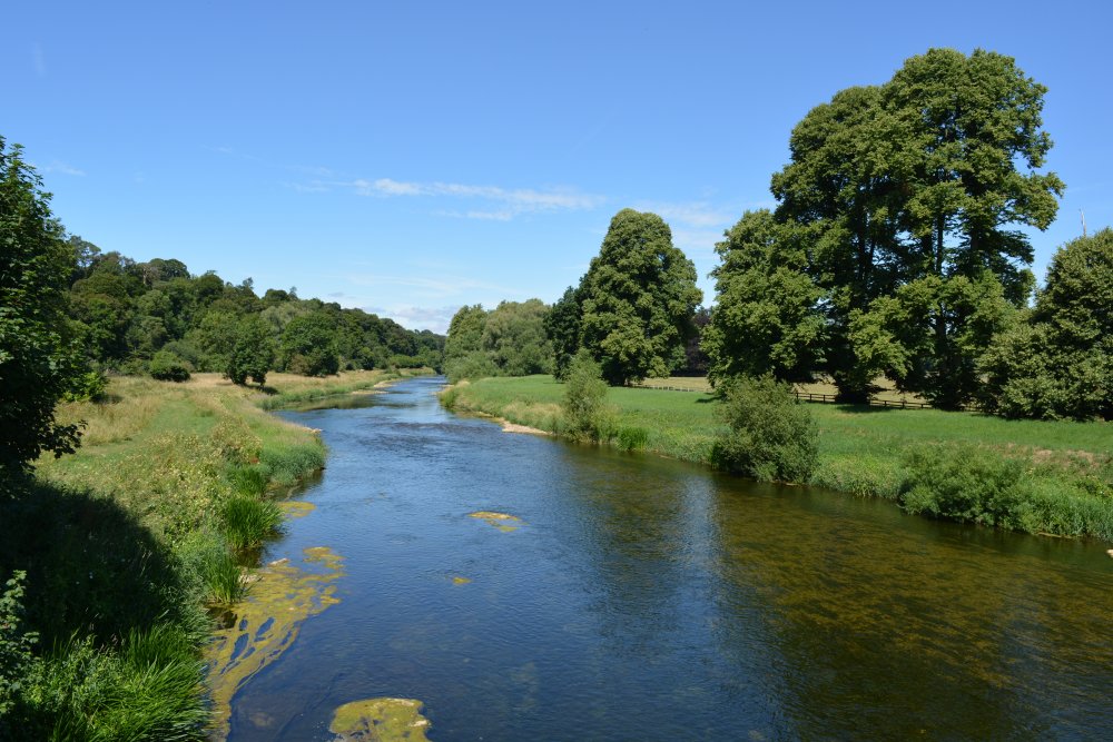 Walk in Ballylinch Stud Farm to Mount Juliet Hotel, Co. Kilkenny