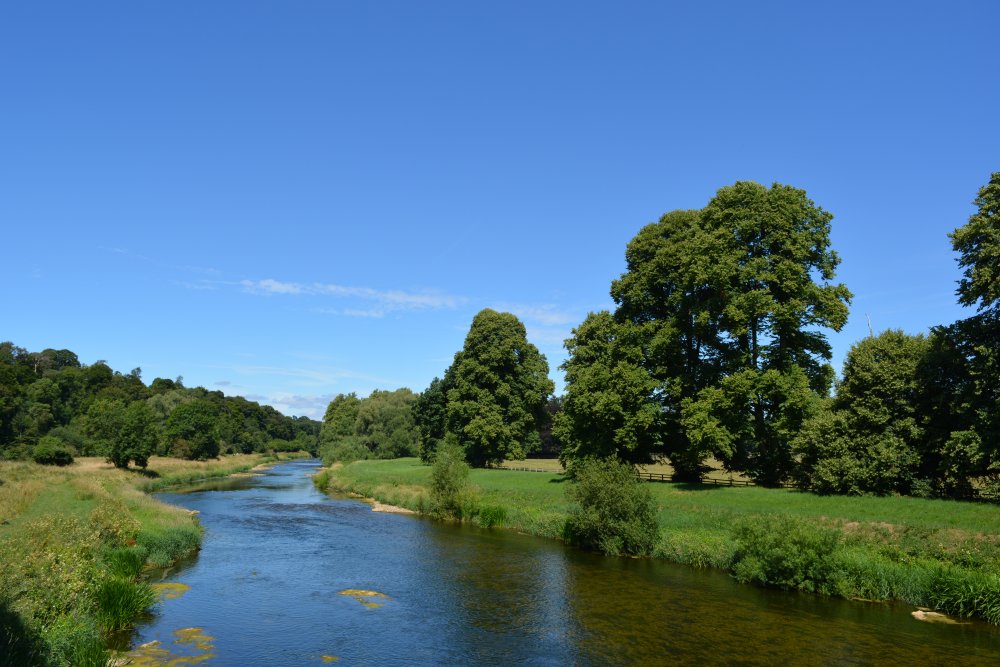 Walk in Ballylinch Stud Farm to Mount Juliet Hotel, Co. Kilkenny
