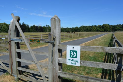 Walk in Ballylinch Stud Farm to Mount Juliet Hotel, Co. Kilkenny