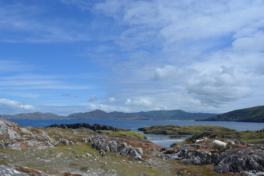 Garinish Loop Walk