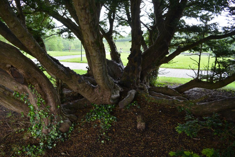 National Museum of Country Life, Co. Mayo, Ireland