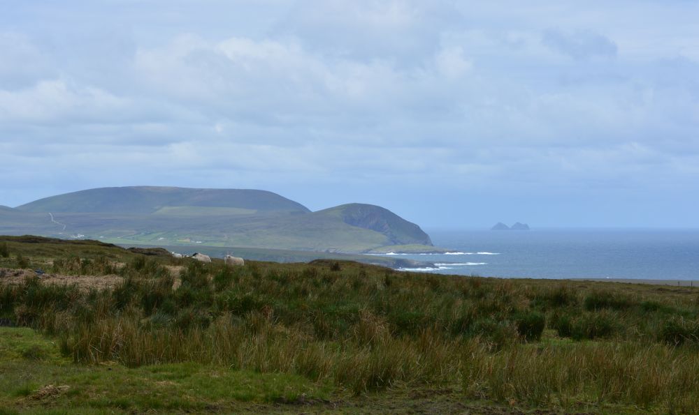 Ceide Fields Neolithic Site, Co. Mayo, Ireland