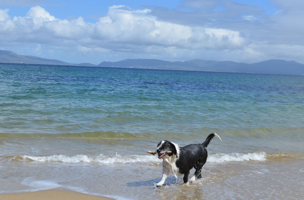 Old Head beach coast walk near Louisburgh Old Head beach coast walk near Louisburgh