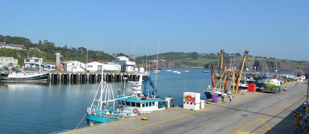 The Dunmore East cliff walk begins above the harbour, Co. Waterford, Ireland