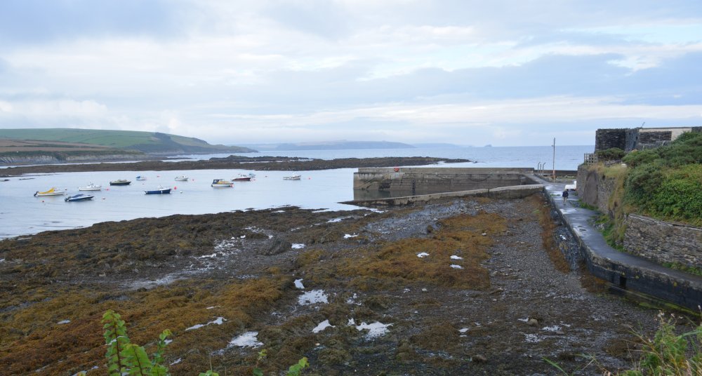 Looking east across a small harbour on the road up to Old Head of Kinsale Old Head of Kinsale, Co. Cork, Ireland