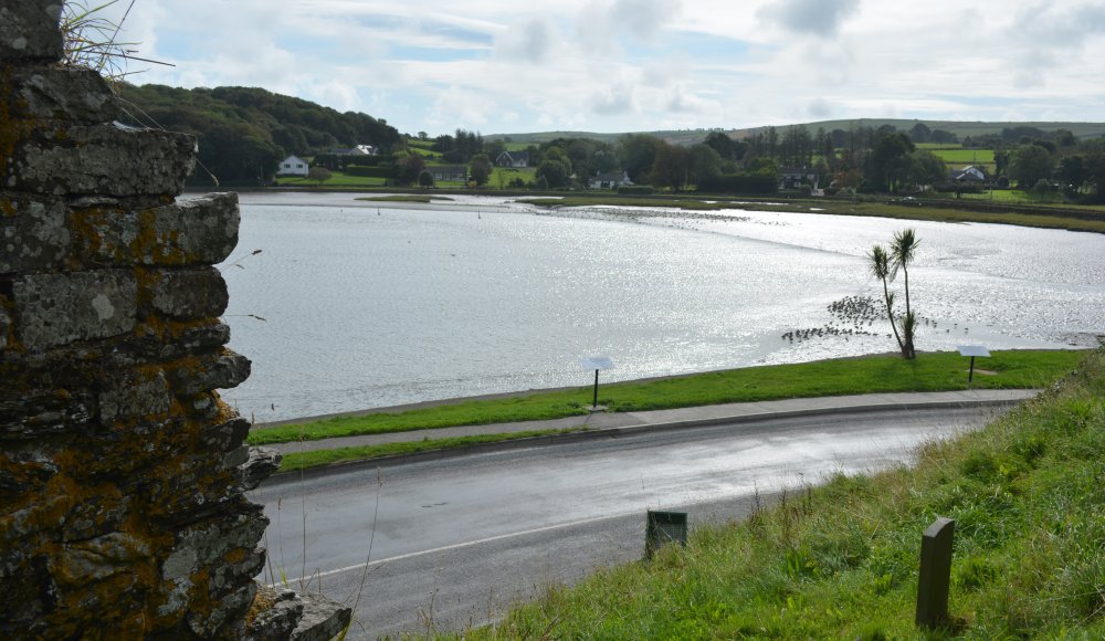 Timoleague to Courtmacsherry estuary nature walk Co. Cork West of Ireland