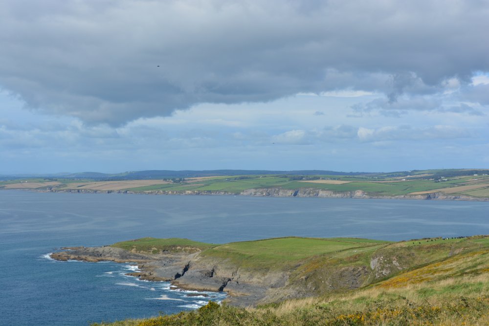 Old Head of Kinsale, Co. Cork, Ireland