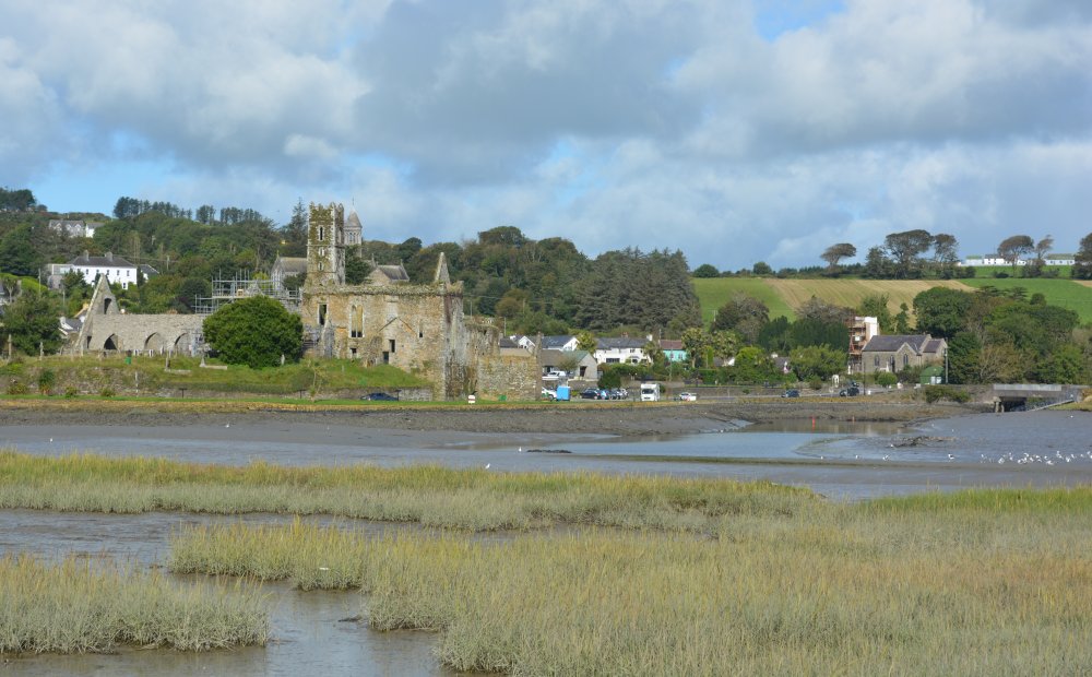 Timoleague to Courtmacsherry estuary nature walk Co. Cork West of Ireland