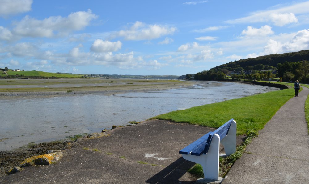Timoleague to Courtmacsherry estuary nature walk Co. Cork West of Ireland