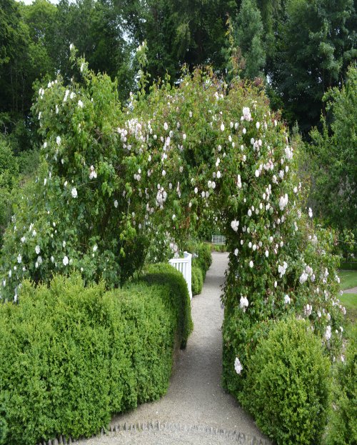 Colclough Walled Garden, Tintern, Co. Wexford 