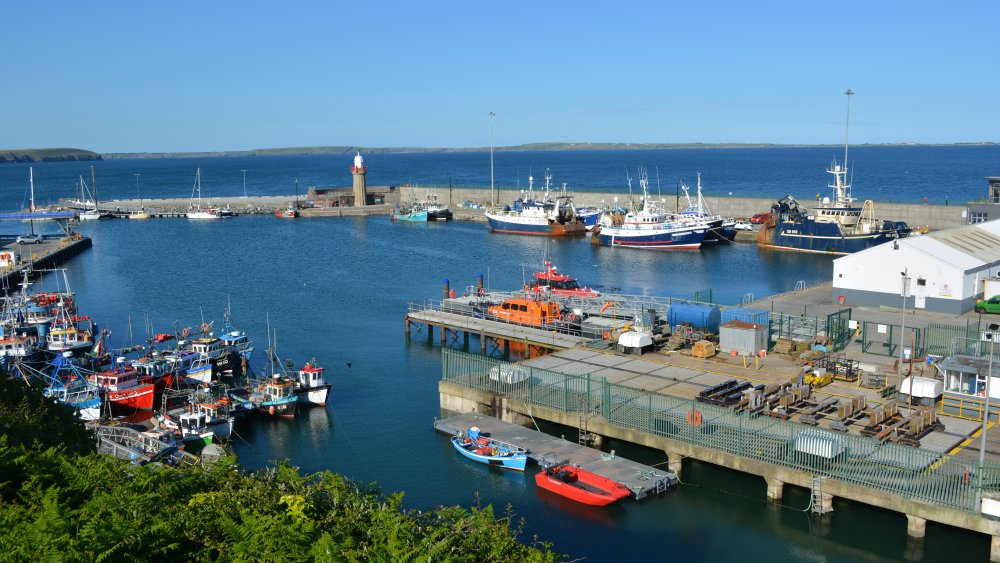 General view of Dunmore East Harbour, Co. Waterford