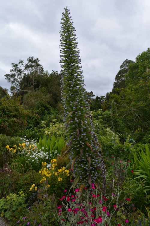 Garinish Island, Garnish Island Co. Cork. Ireland