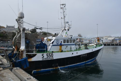 Fishing vessel S550 Skibbereen in Dunmore East Harbour