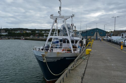 Fishing vessel D 28 D28 ENDEAVOUR berthed at  Howth harbour, Co. Dublin, Ireland
