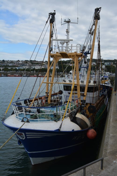 The beam trawler WD40 WILLIE JOE (Whelan) berthed in Howth harbour, Co. Dublin, Ireland