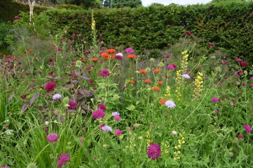 Lismore Castle Gardens
