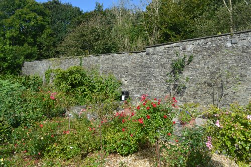 Sheltered flower beds Vandeleur Walled Garden and Visitor Centre near Kilrush, Co. Clare, Ireland