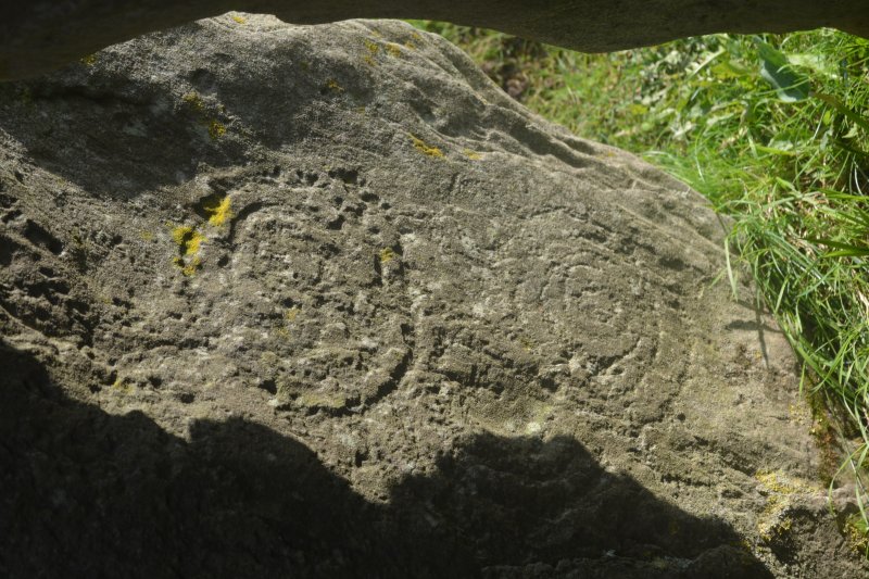 rock surface is elaborately decorated with spiral carvings and large concentric ring markings Knockroe Passage Tomb, Co. Kilkenny, Ireland