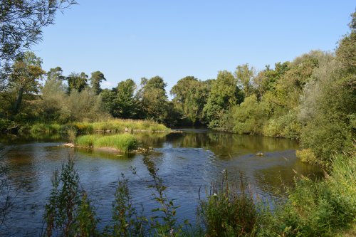 River Nore walk from Bennettsbridge to Killkenny, Co. Kilkenny, Ireland