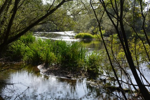 River Nore walk from Bennettsbridge to Killkenny, Co. Kilkenny, Ireland