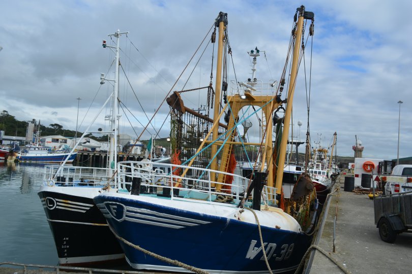 Fishing boat trawler WD 39 SALTEES QUEST (WD39 registered Wexford) in Dunmore East Harbour, Waterford, Ireland