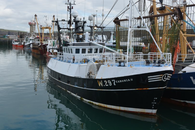 Fishing boat trawler W.297 CARONIA II in Dunmore East Harbour (W297 registered Waterford built in Denmark 1981) Waterford Ireland