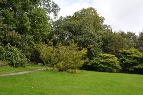 The John F. Kennedy Arboretum JFK Park