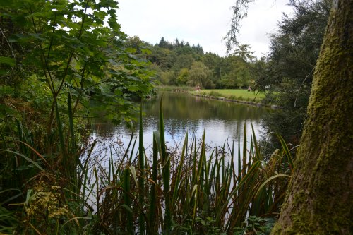 The John F. Kennedy Arboretum JFK Park