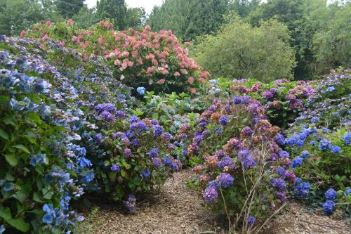 The John F. Kennedy Arboretum JFK Park