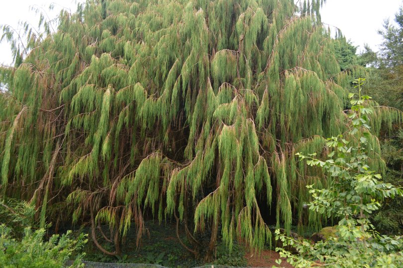 The John F. Kennedy Arboretum JFK Park