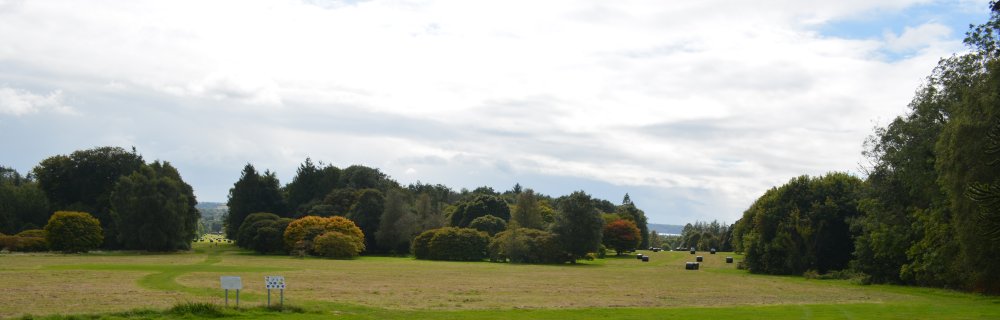 General view of the woodland of The John F. Kennedy Arboretum JFK Park
