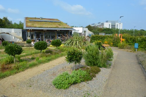 Grow HQ Cafe Garden, Co. Waterford, Ireland