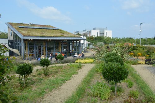 The GROW HQ School Garden Grow HQ Cafe Garden, Co. Waterford, Ireland