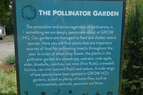 The pollinator garden Grow HQ Cafe Garden, Co. Waterford, Ireland