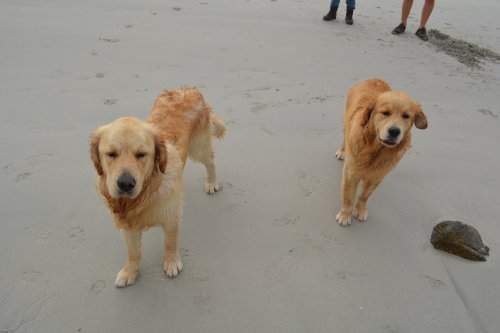 Dogs Bay Beach, Connemara, Co. Galway, Ireland