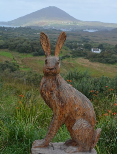  Connemra National Park Centre, Co. Galway, Ireland
