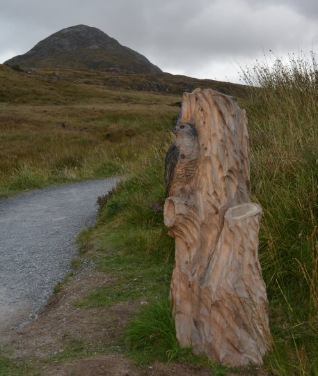  Connemra National Park Centre, Co. Galway, Ireland