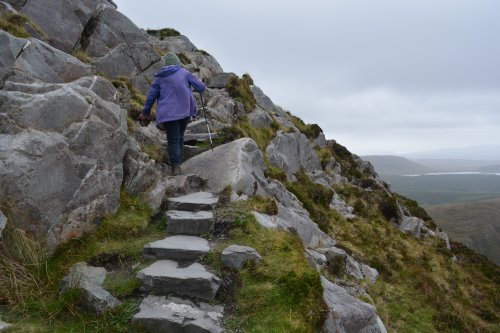  Connemra National Park Centre, Co. Galway, Ireland