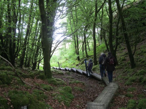 Cavan Burren Park walks and prehistoric sites, Co. Cavan, Ireland