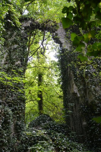  Bennetts Bridge to Kilkenny section Nore Valley Walk