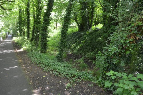  Bennetts Bridge to Kilkenny section Nore Valley Walk