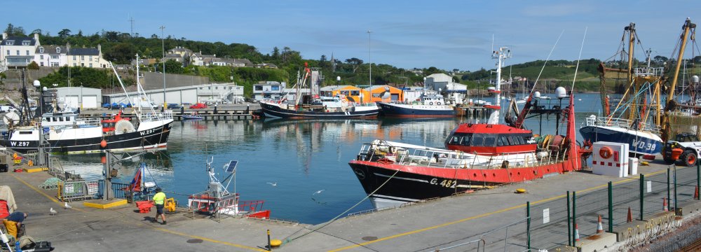 Trawler W.297 CARONIA II and motor lugger G.482 Boy Davie Dunmore East harbour summer 2025