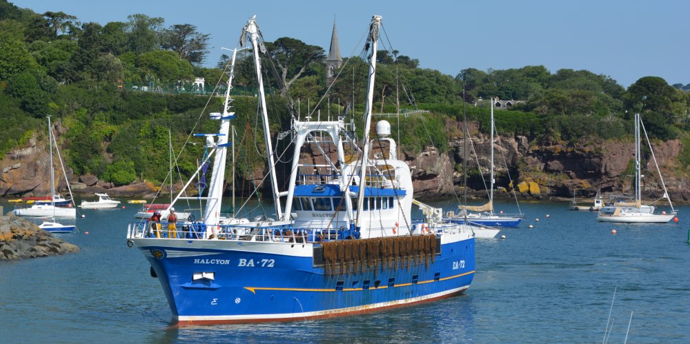 Entering harbour BA.72 HALCYON registered in Ballantrae Dunmore East harbour summer 2025