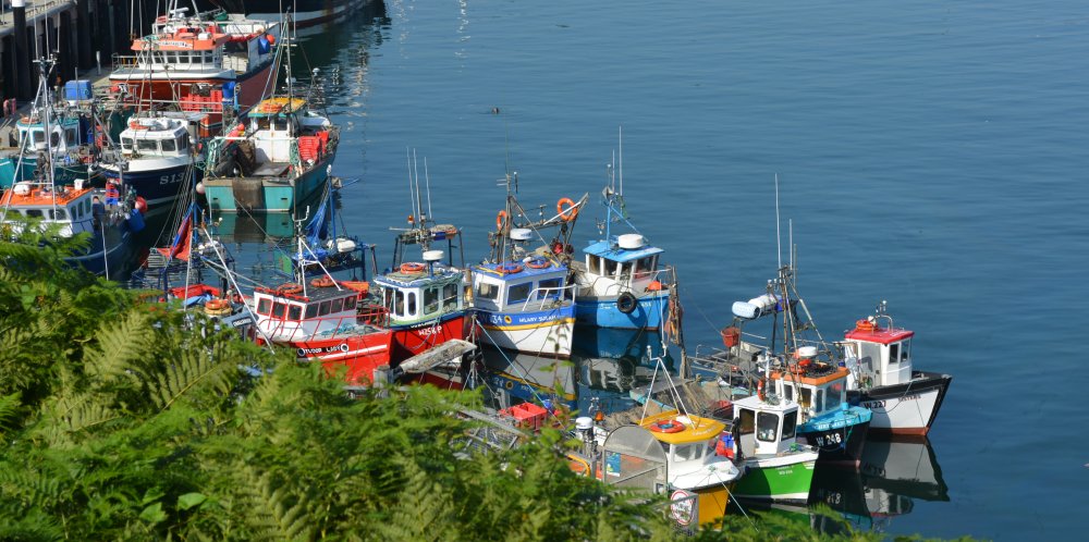 The small fishing and lobster boats in Dunmore East harbour summer 2025
